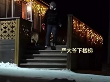毛茸茸的小熊摔倒了都好可爱~#严浩翔