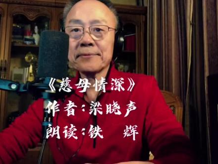 《慈母情深》作者:梁晓声
朗读:铁 辉