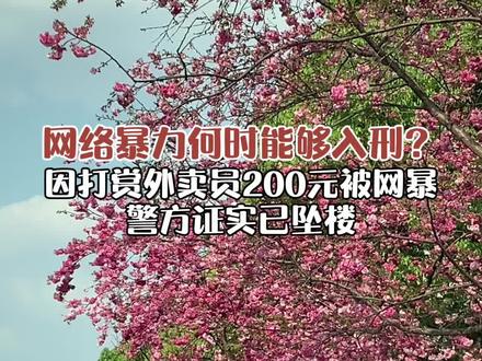 网络暴力何时能够入刑?上海姑娘因打赏外卖员200元被网暴,警方证实已坠楼!#警方回应下单顾客疑因遭网暴跳楼 #程皓说 #大v快评 #你怎么看 @抖音小助手
