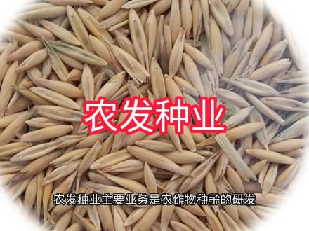 农发种业上市公司基本情况介绍