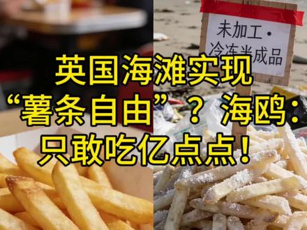 英国海滩实现“薯条自由”?海鸥:就吃亿点点!
#涨知识#美食#薯条 #海鸥 #环保