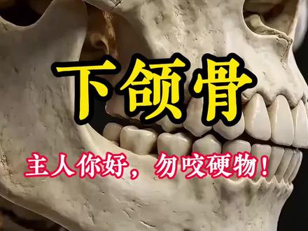 下颌骨:主人你好,我是你的下颌骨,你爱我吗? #科普 #科普一下 #科普知识 #下颌骨