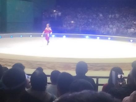 央妈推荐的 飞身上马 在这里