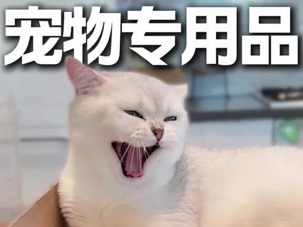 宠物专用品平替版 #养猫人 #科学养宠攻略 #养宠攻略 #兽医 #宠物用品