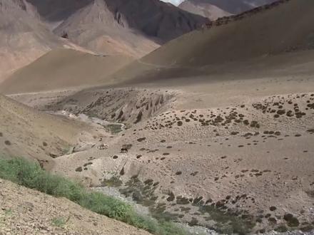 生存在海拔4500米的游牧民,每年赶羊群搬家6次,如今剩下5户人家(1) #纪录片 #纪录片充电计划