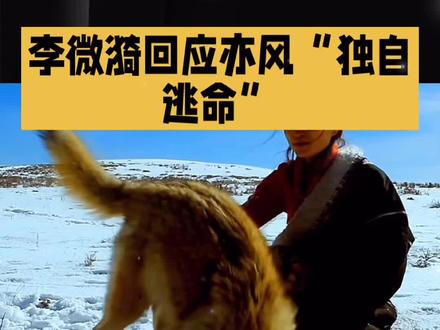 #鲜活高定一搞《#重返狼群》李微漪回应导演独自逃命定