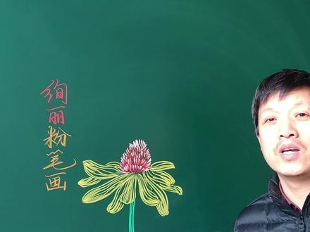 粉笔线描小花花 #粉笔字教师板书 #粉笔画 #黑板画