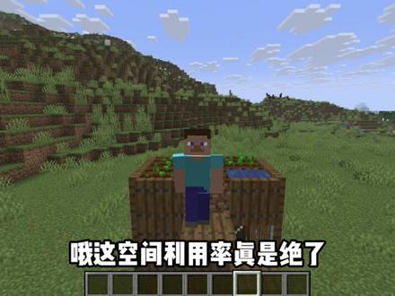 《前期小屋》 #我的世界