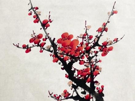 梅花枝干及花朵详细技法 #梅花#国画#画画#一起学画画