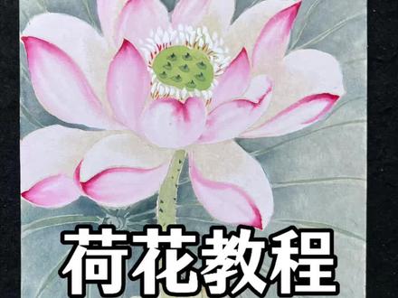 国画荷花图完整详细的绘画教程。#国画 #跟着抖音学画画 #荷花 #平子国画 #零基础学画画