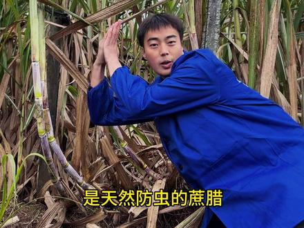 真实手工红糖的制作过程。#记录真实生活 #我的乡村生活 #甘蔗红糖 #甘蔗 #返乡创业青年