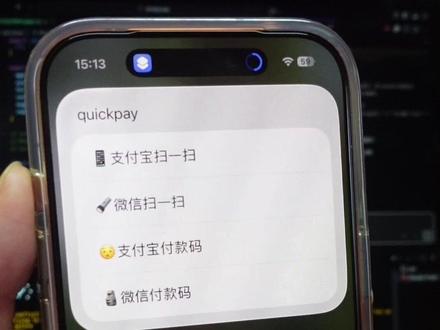 一键调出支付的快捷指令呀#iphone小技巧 #快捷指令