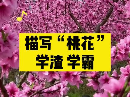 描写“桃花”,你什么段位呢?#期中考试 #写景作文 #小学作文技巧 #小学语文