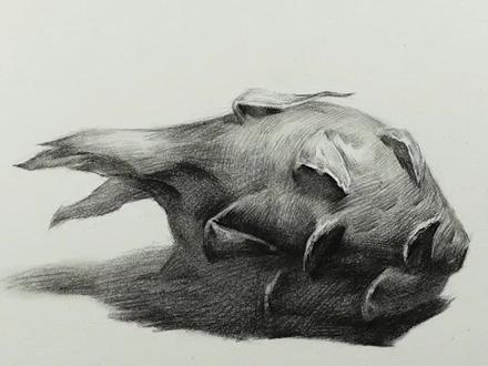 那就画个火龙果吧 #素描基础 #素描入门 #素描静物 @DOU+小助手