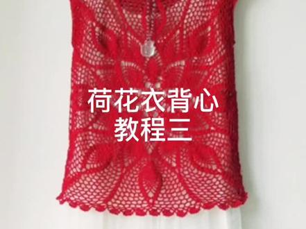 荷花衣背心教程三 大家喜欢吗?#手工编织 5号蕾丝