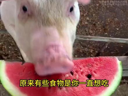 有哪些食物是你一直想吃,吃完之后感觉难吃的东西#万万没想到 #离谱 #食物 #美食