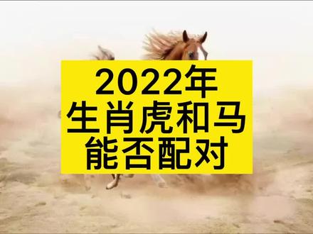 2022年里生肖虎和生肖马适不适合?#十二生肖 #十二星座