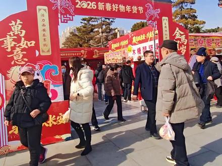 兴庆公园新年大集开始喽#年货节#兴庆公园#2026新春好物节