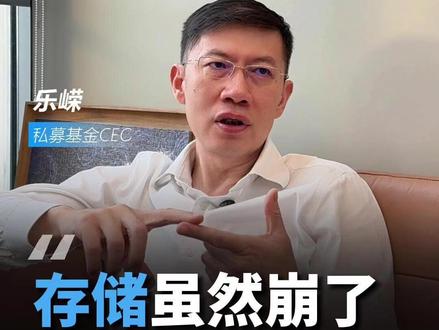 存储虽然崩了,但逻辑更稳了! #财经 #投资 #AI #芯片 #真财实学计划