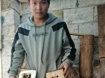 胡蜂村长教大家养胡蜂,10月16号交尾冬眠的蜂王,冬眠周期3个多月了,今天苏醒看了效果相当满意,以后这个号每天更新一些养殖胡蜂的视频,希望大家关注支持