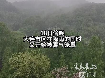 雨还在下,雾又来了,今夜明晨大连人出行注意(半岛晨报)