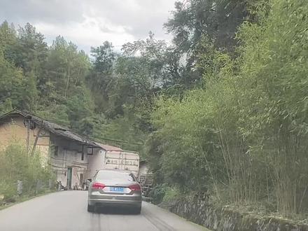 你们巫溪到奉节要好久?没得高速伤心啊