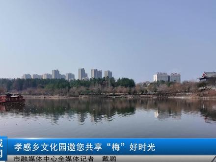 孝感乡文化园邀您共享“梅”好时光