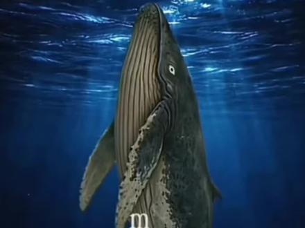 和 @D梦 一起 #合拍