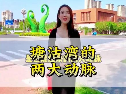 塘沽湾各大项目最新进展,大家想看哪里评论区留言#现场实拍 #天津 #滨海新区 #塘沽湾 #一个敢说真话的房产人