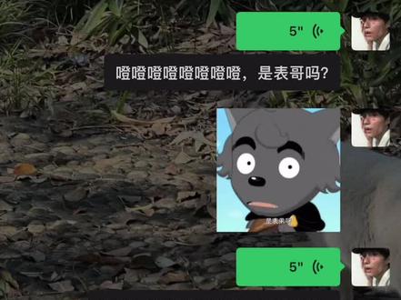 表哥你还在吗?#喜羊羊与灰太狼 #灰太狼 #是表哥吗 #搞笑配音 #儿时回忆