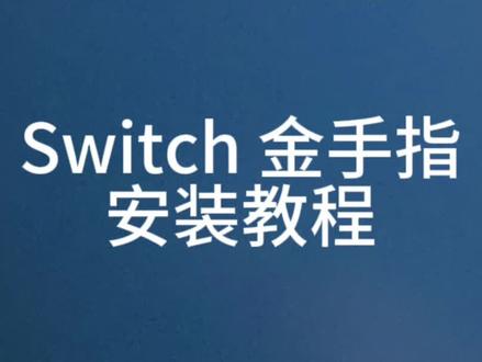 switch 金手指安装教程