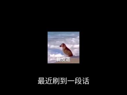 你看那一万栋楼,十万个家,百万个债,千万滴泪水划过几亿张脸,为一个爱#万家灯火 #我问灯火幸福与否 #幸福 #曼波配音