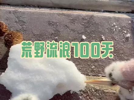 自制马迭尔冰棍 #野外生存 #荒野求生 #流浪 #户外 #抖音商城年终狂欢季