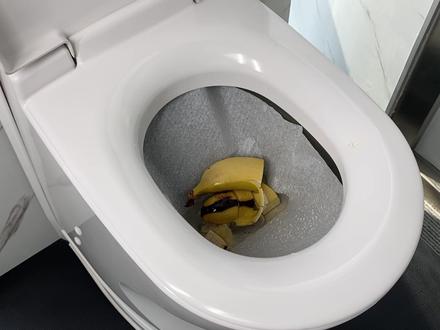 柴油版焚烧坐便器来了#强烈推荐