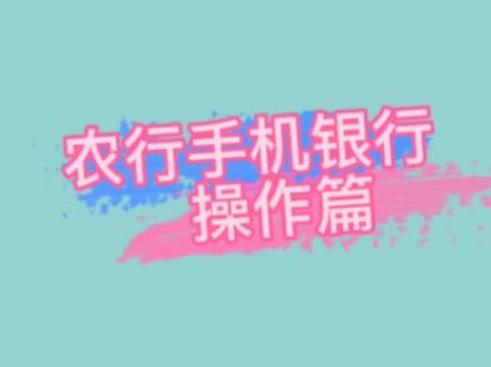 农行手机银行—明细查询#可查询2016年以来账户明细