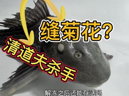 论清道夫的一百种死法,撒旦小时候哭着要看#搞笑#温柔风 #清道夫#马上更新家乡年味