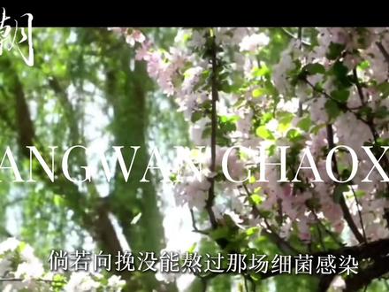 #晚潮 #挽晁 嗓子疼爆炸了我心情不好你们一个都别想好过