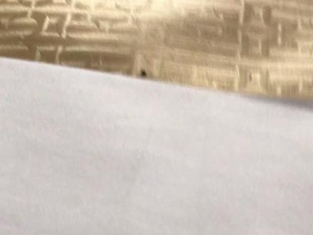 教你怎样画《沧龙》和《巨齿鲨》