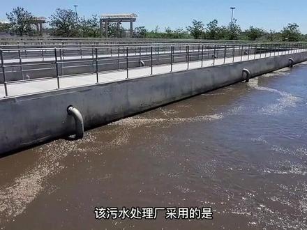 #污水处理厂工艺流程详解(实际大型污水厂)