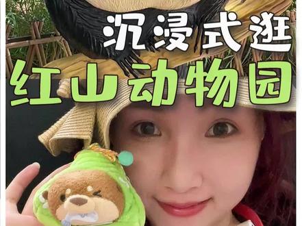 3分钟逛完红山动物园,全中国最好的动物园里有什么?#红山森林动物园#总要来趟南京吧