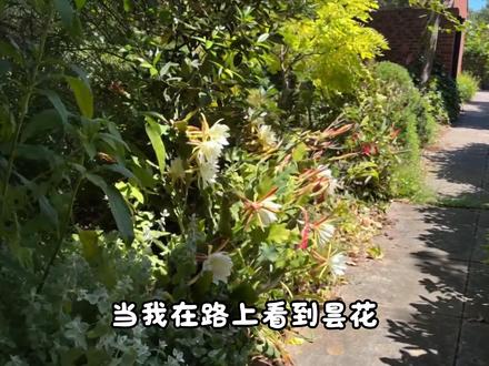 我对你的感情很深,但我更渴望得到正确的对待。 #昙花
#拍出电影感
#inmyfeelings
#失恋
#情感文案
声源@阿蘅