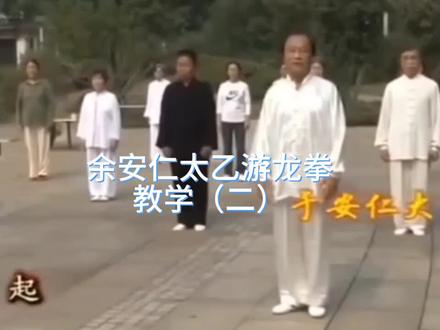 余安仁太乙游龙拳
教学(二)1—20动#养生