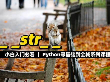 __str__ - 《Python零基础到全栈系列》#知识分享 #程序员 #python #教程