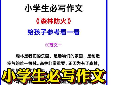 小学生必写作文《森林防火》范文,夏季安全要注意!#小学生作文 #森林防火 #暑假充电计划 #暑假作业