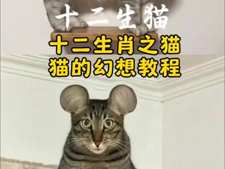 十二生肖猫咪p图豆包ai指令 十二生肖猫咪p图怎么跟豆包说 #剪映 #十二生肖猫咪p图ai #十二生肖之猫猫的幻想#十二生肖ai指令入口 猫十二生肖怎么p 十二生肖猫咪p图教程 十二生肖猫咪p图素材 十二生肖猫咪p图特效十二生肖猫咪p图教程