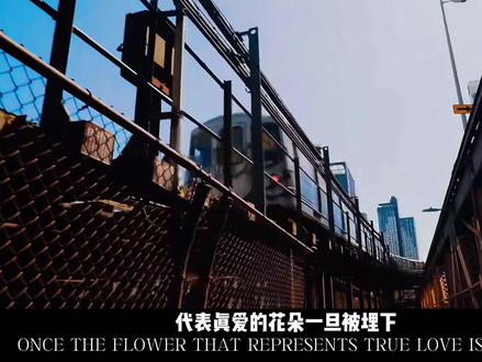 “带走我的格桑花 困住我的也未必是神山”#拍出电影感 #inmyfeelings #田曦薇 #情绪短片 #青年创作者成长计划