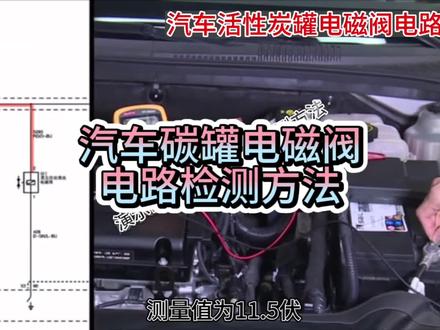 汽车碳罐电磁阀的电路检测#汽车知识 #修车 #汽车维修
