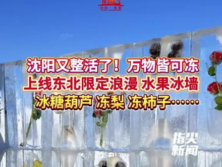 沈阳又整活了!万物皆可冻 上线东北限定浪漫 水果冰墙 冰糖葫芦 冻梨 冻柿子……