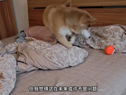 名词诈骗!一口气拆穿Skill/MCP/RAG/Agent #ai新星计划 #SKILL #大模型 #Agent #Clawdbot