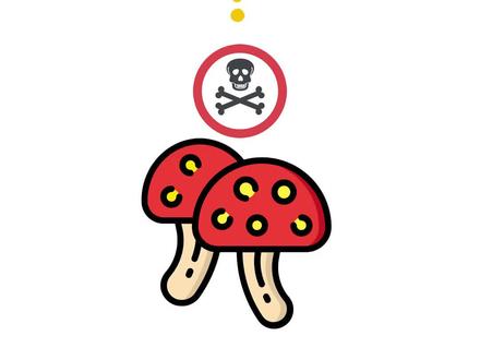 吃了毒蘑菇应该如何自救?